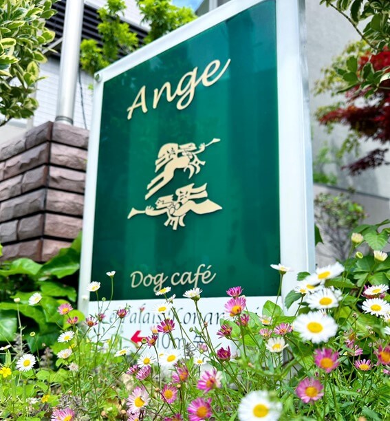 Ange Dog café（アンジュドッグカフェ）